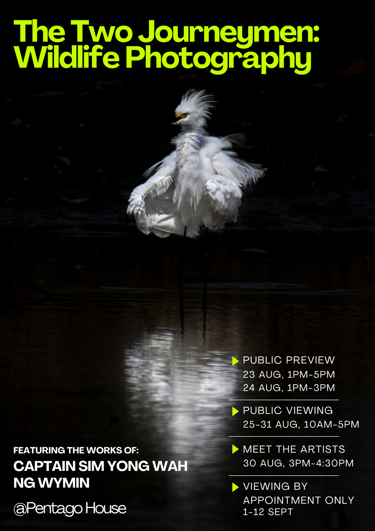 Two Journeymen: Wildlife Photography
