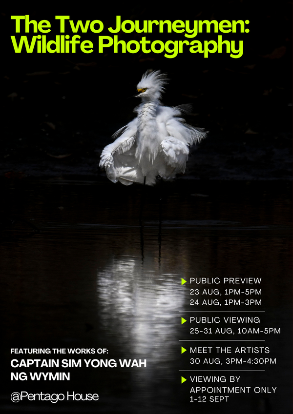 Two Journeymen: Wildlife Photography